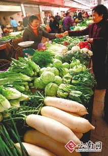 上半年我省農(nóng)產(chǎn)品總體價(jià)格漲兩成 氣候變化與成本上升雙重夾擊引憂(yōu)