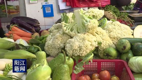 本地農產品源源上市，陽江菜籃子有保障